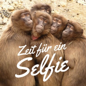 Zeit für ein Selfie