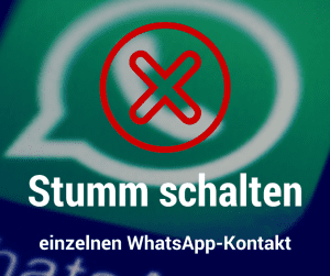 WhatsApp-Kontakte einzeln stumm schalten
