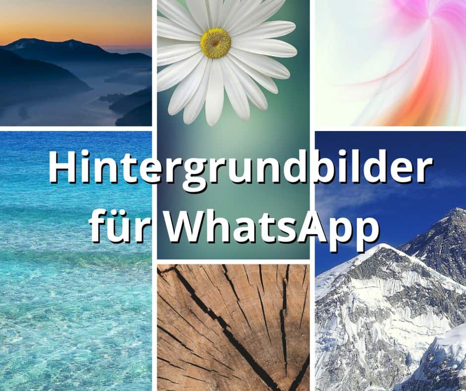 Whatsapp profilbilder kostenlose Die Top